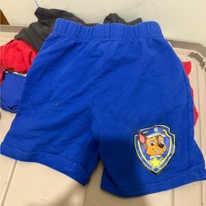 Paw patrol  Shorts with Character Patch